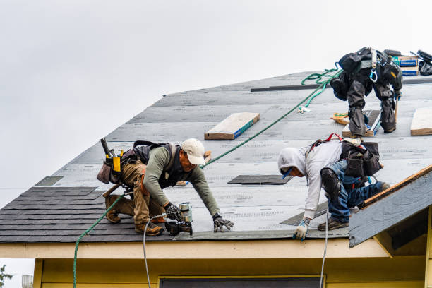 Professional Roofing technician working in Roselle, IL